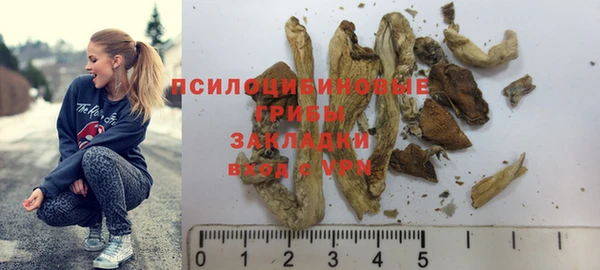 гидра Абинск