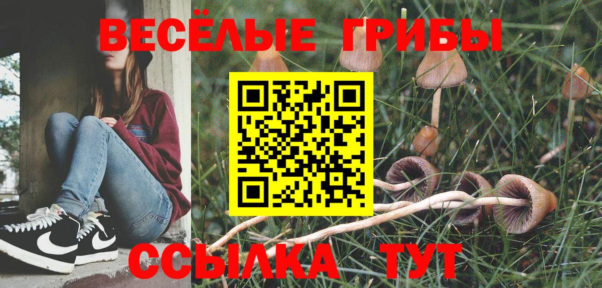 Псилоцибиновые грибы Magic Shrooms Северодвинск