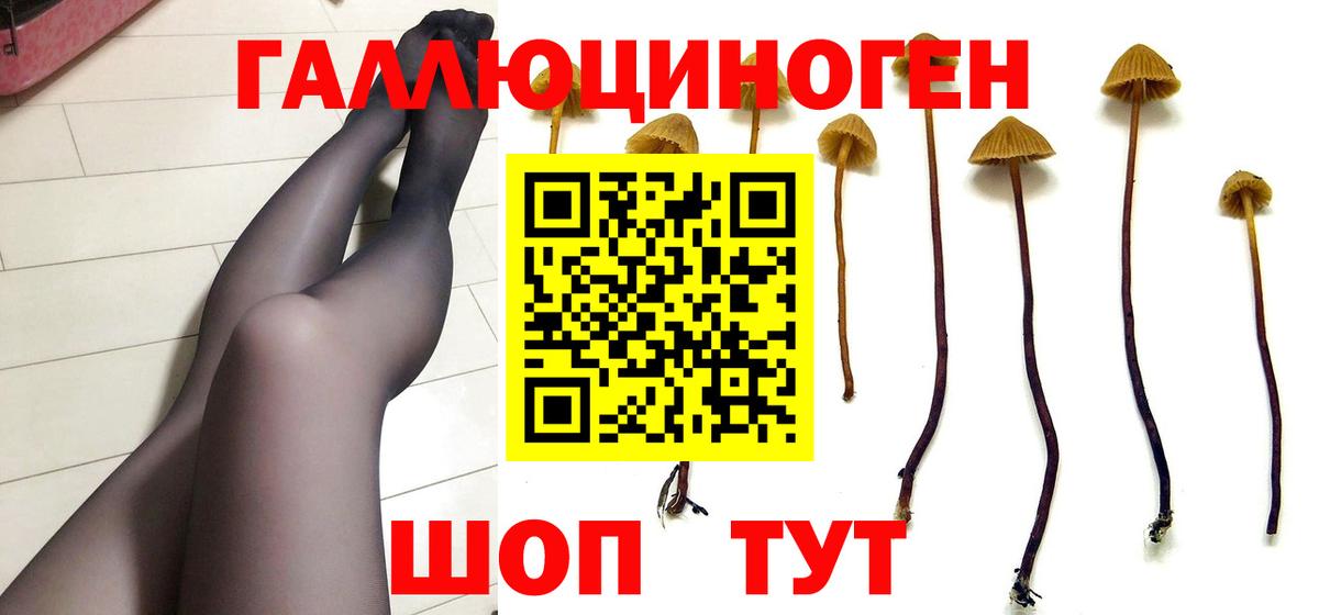 Северодвинск  Псилоцибиновые грибы Cubensis  Вход с VPN 